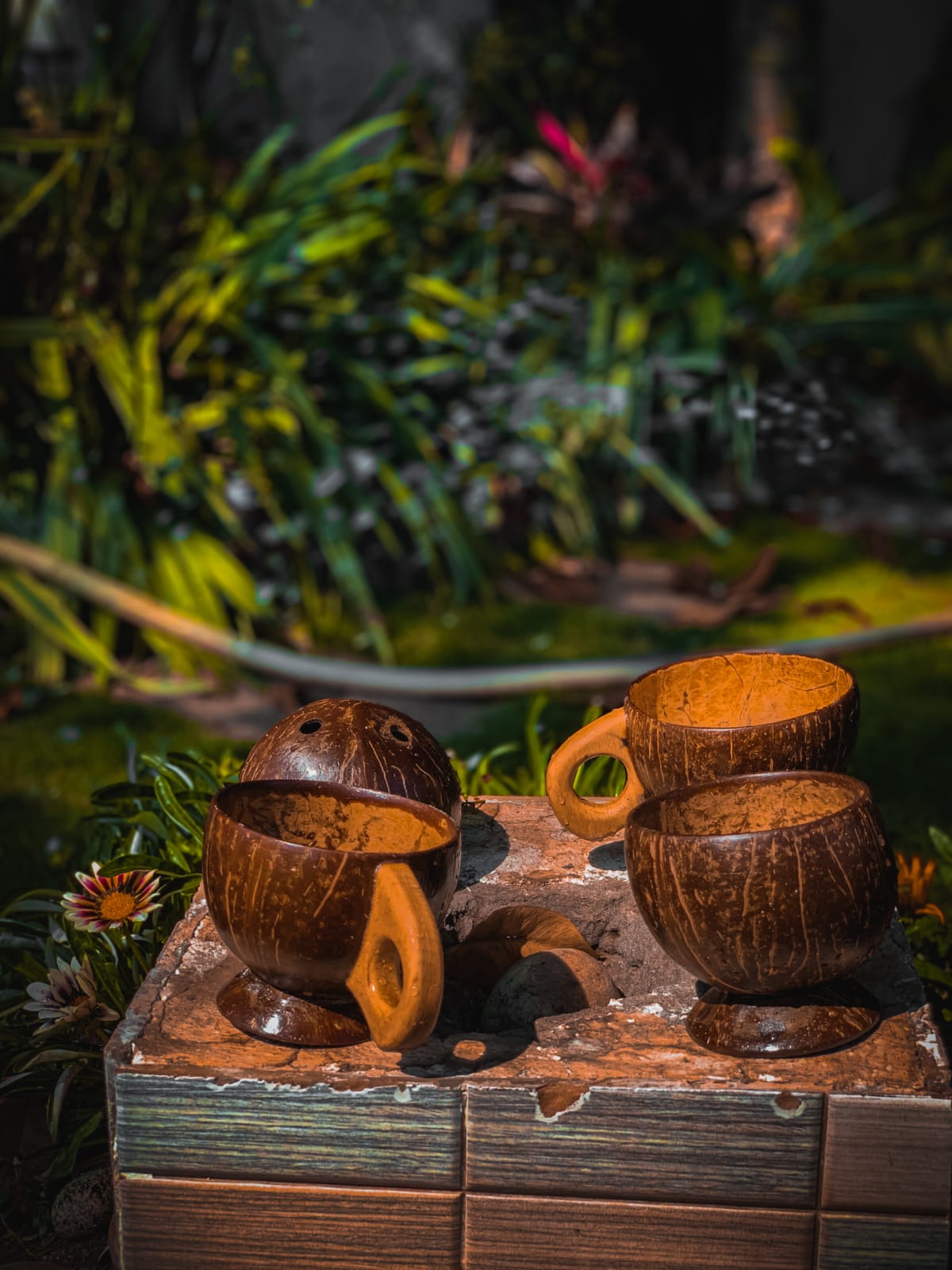 Coconut Shell Products