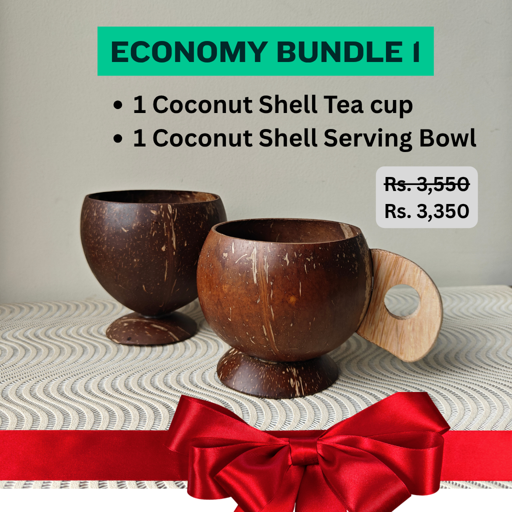 Economy Bundle 1