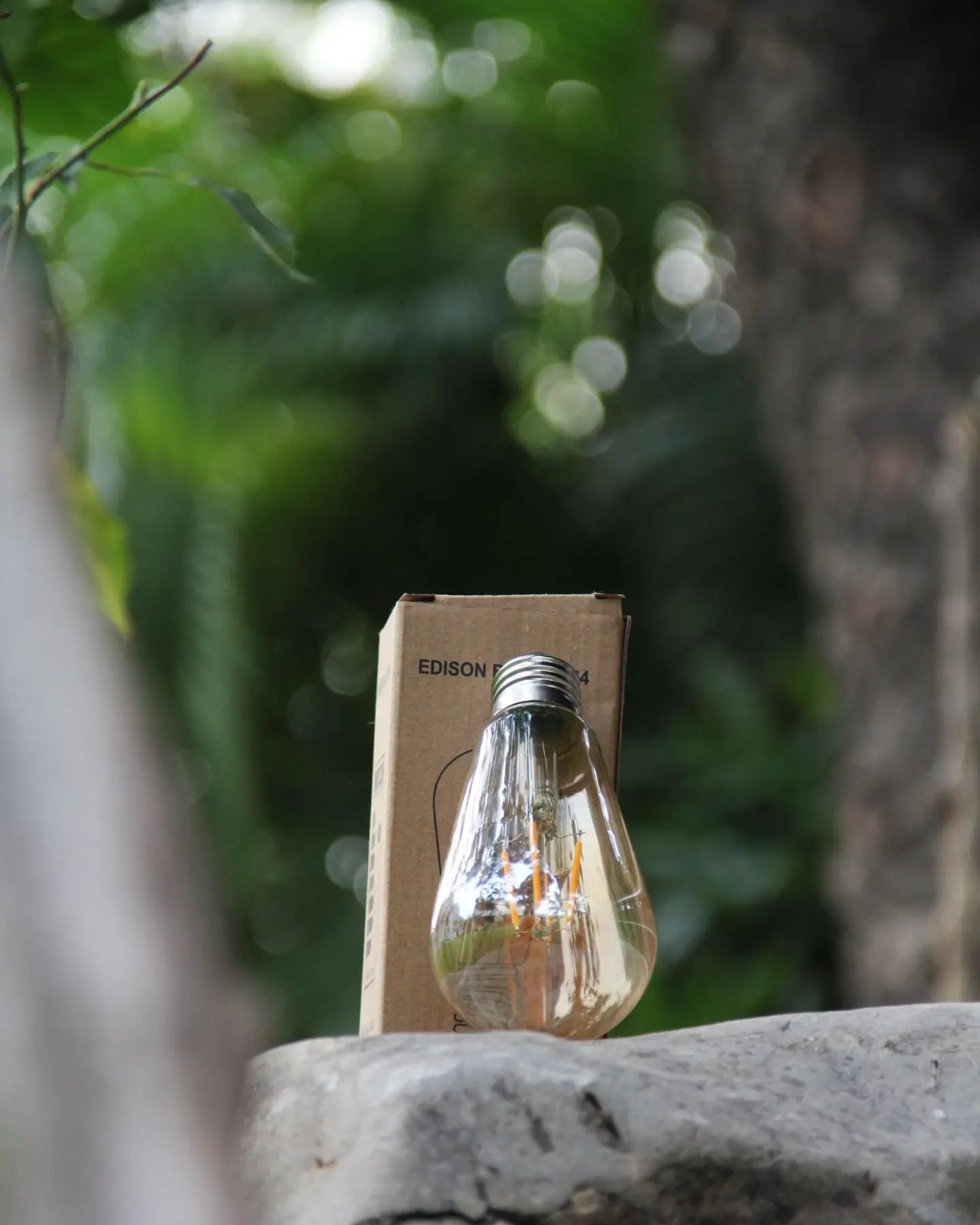 Bulb Edison (S.T 64 ) Vintage bulb
