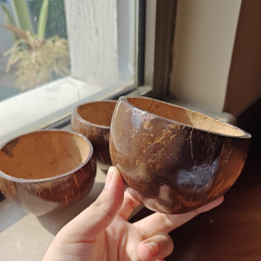 Coconut Shell Bowl