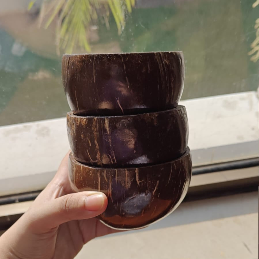 Coconut Bowl(Pack of 3)
