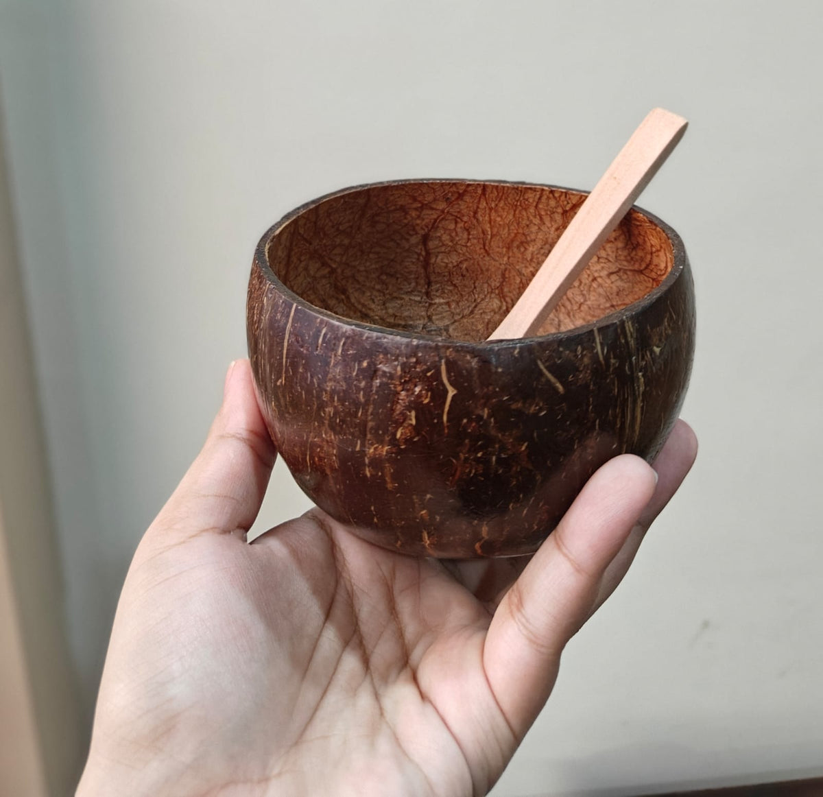 Coconut Shell Bowl