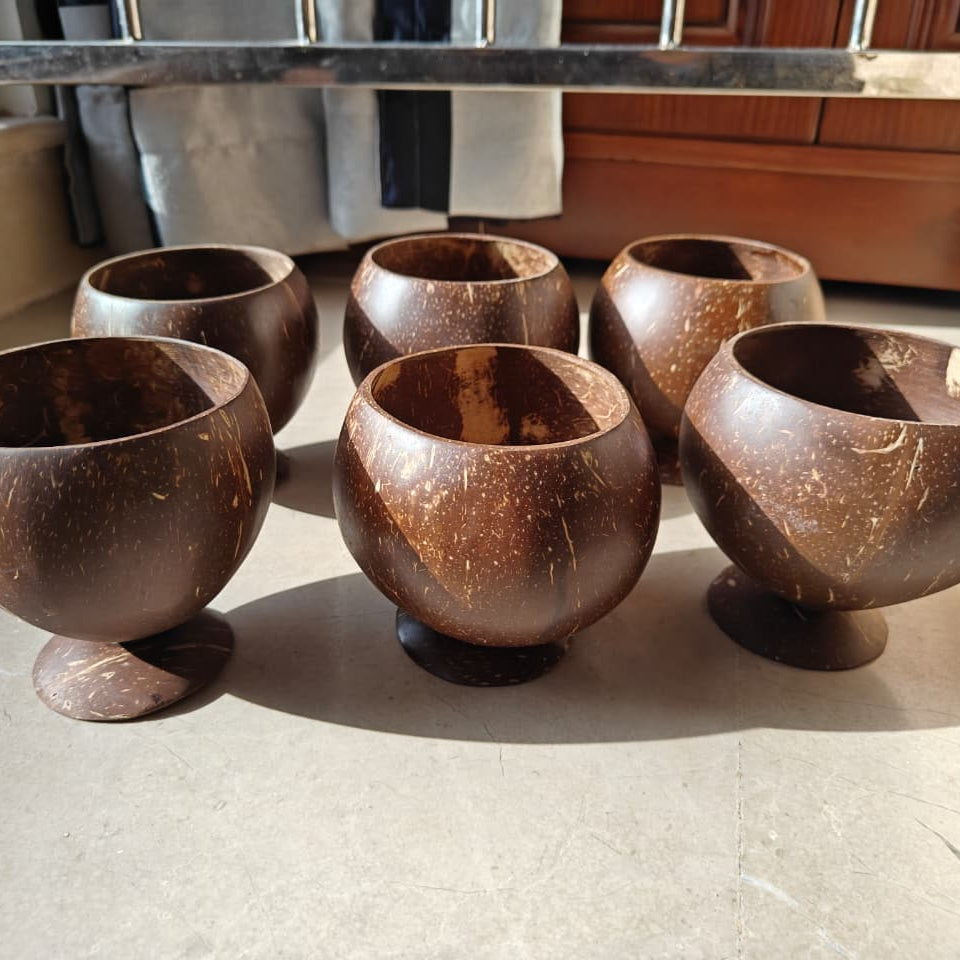 Coconut shell Serving bowl