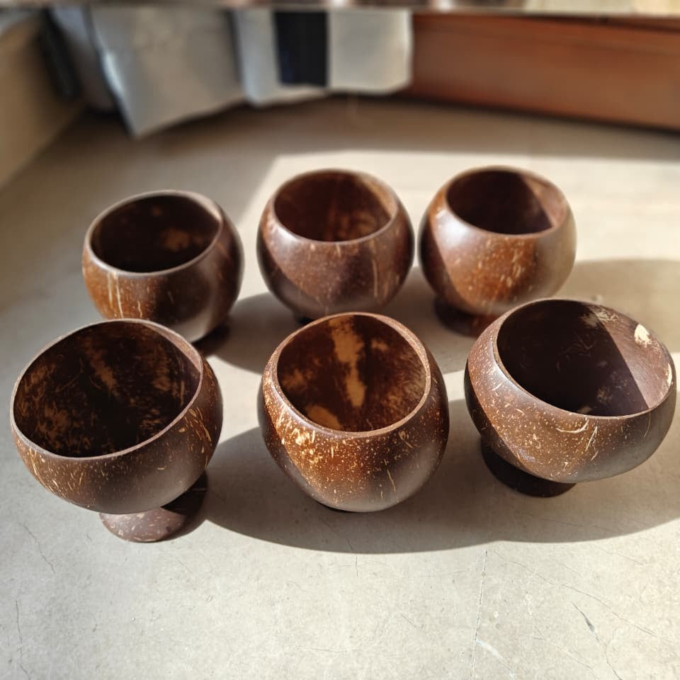 Coconut shell Serving bowl