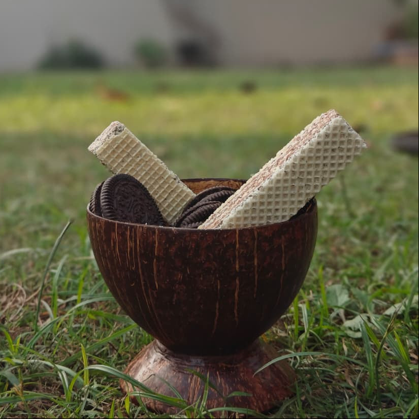 Coconut shell Serving bowl