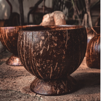 Coconut bowl
