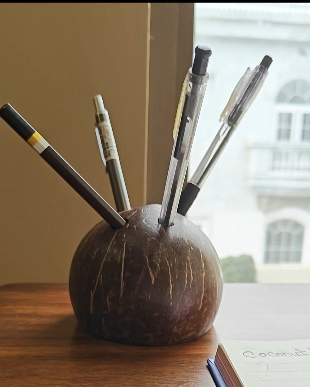Coconut pen/pencil holder