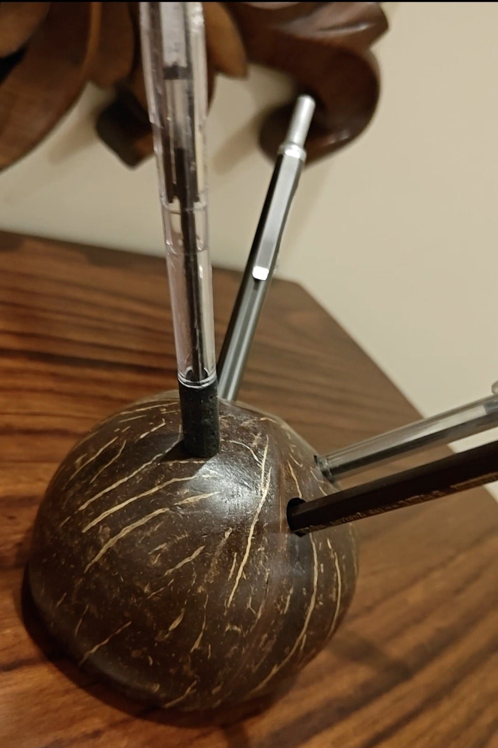 Coconut pen/pencil holder