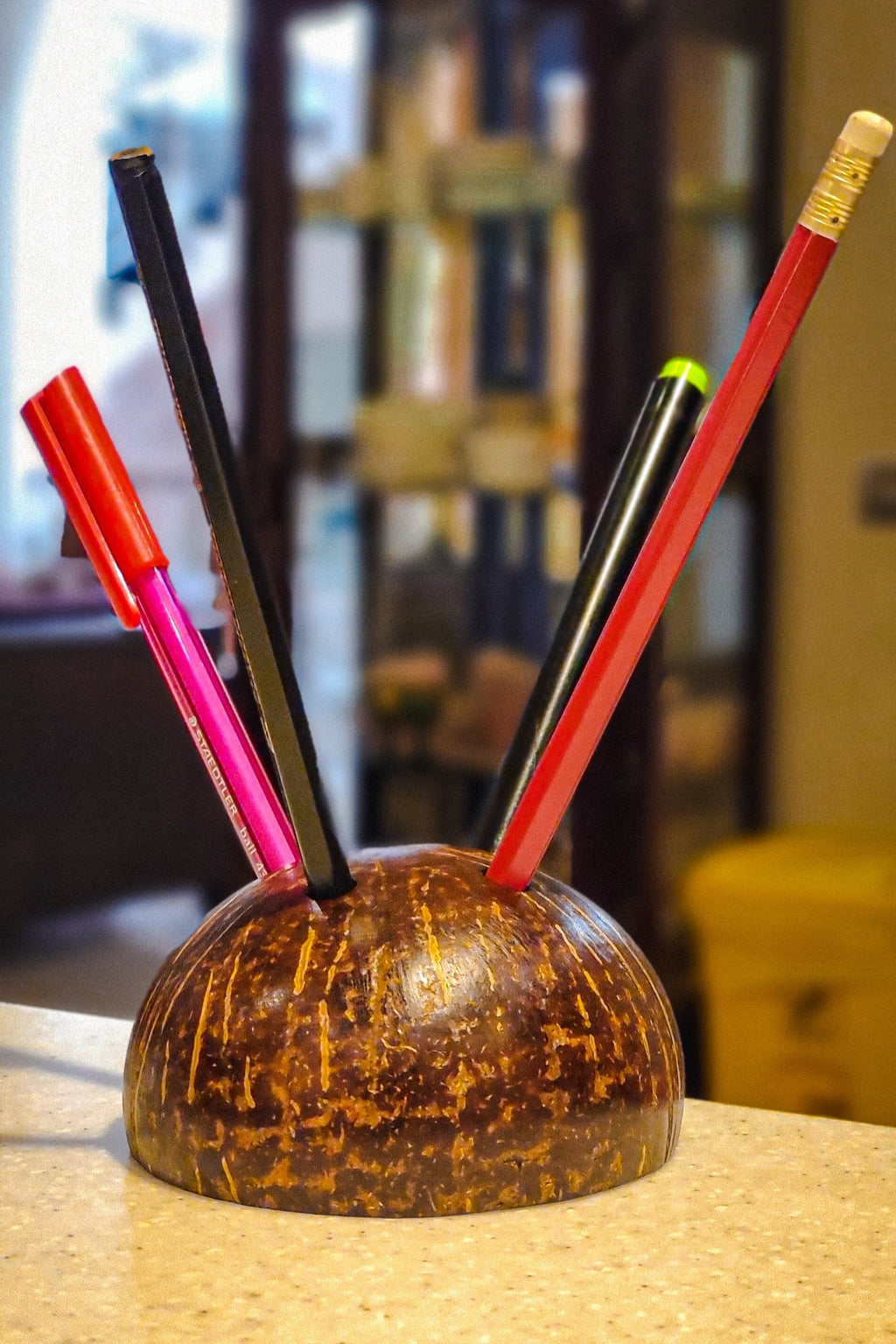 Coconut pen/pencil holder