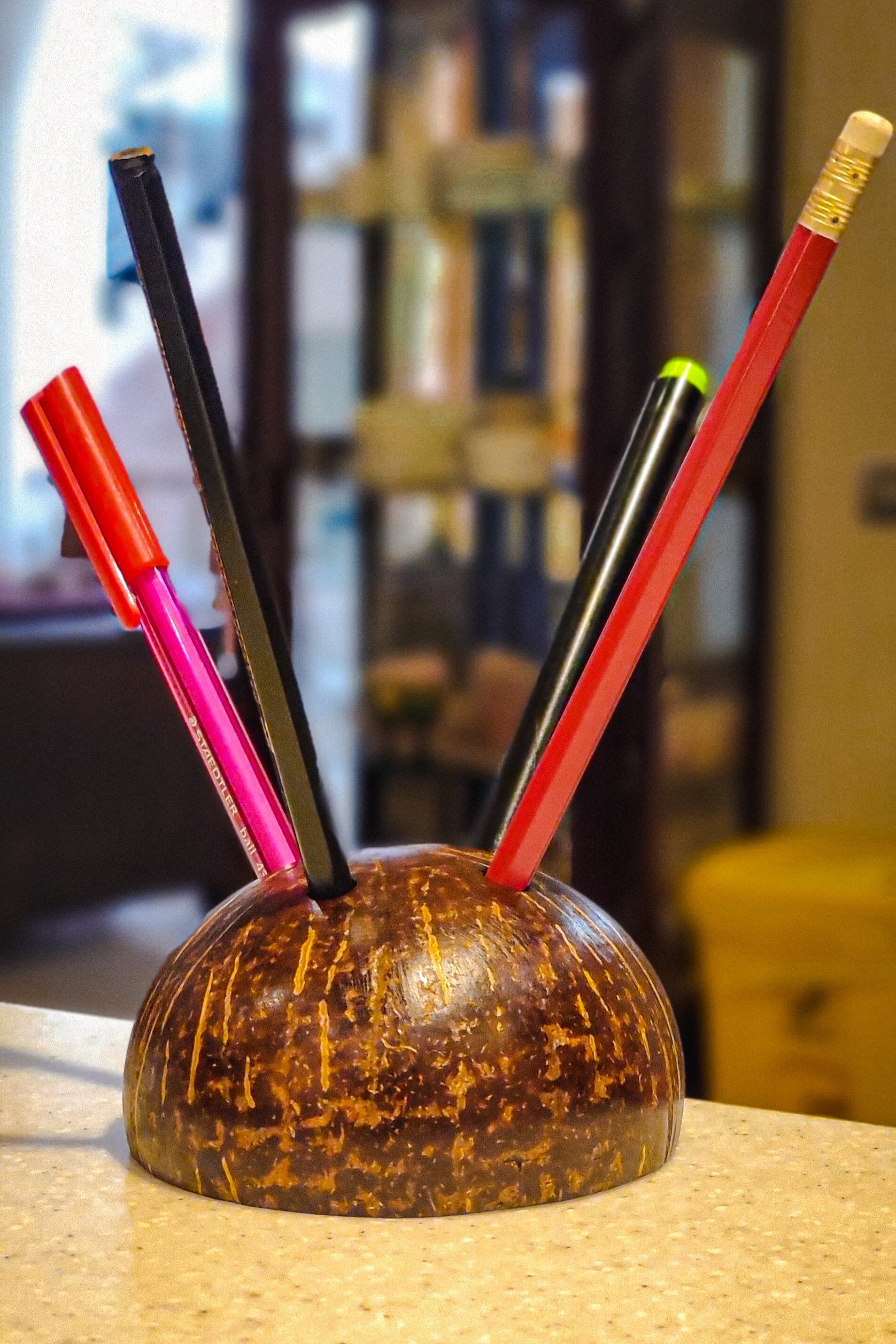 Coconut pen/pencil holder
