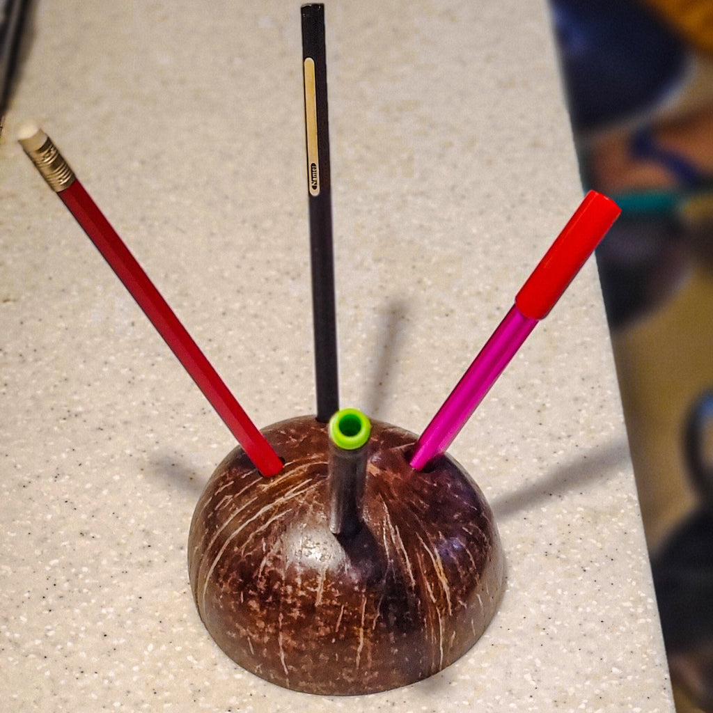 Coconut pen/pencil holder