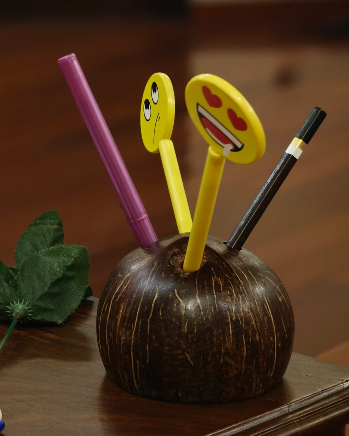 Coconut pen/pencil holder