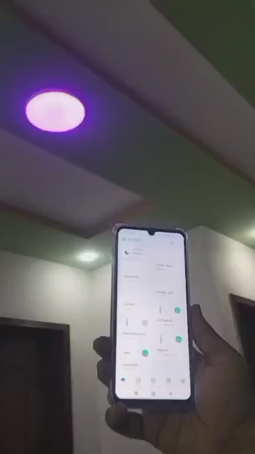 Wifi Smart Ceiling Light-10 Watt
