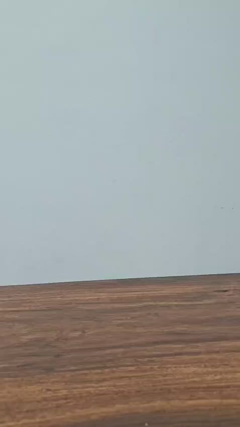 Miniso Milk Tea Series Wirebound Memo Pad - 80 Sheets (Kitten)